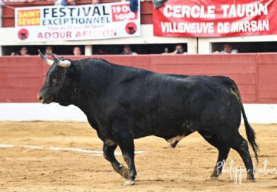 Vic: De Castilla et le troisième Dolores Aguirre