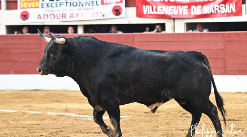 Vic: De Castilla et le troisième Dolores Aguirre