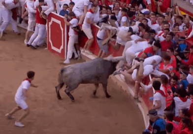 San Fermin encierro, jeu de quilles dans les arènes