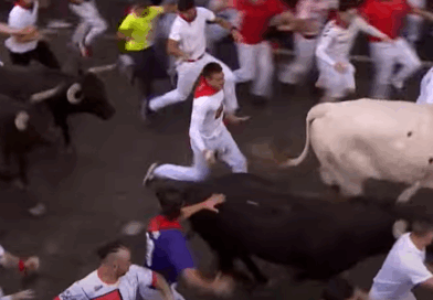 San Fermin, les Miura avalent l’encierro