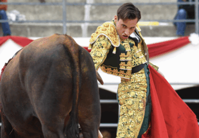 Valentin, la tête sur les épaules et les pieds sur terre.