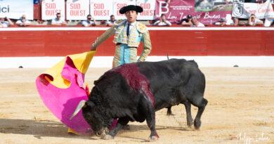 Mont de Marsan: corrida de Parrale bas