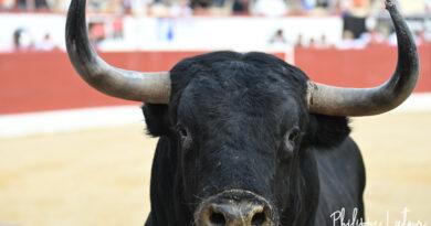 Orthez, le desafio en photos