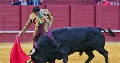 Málaga : Urdiales retrouvé, Fortes conforté, Aguado inspiré