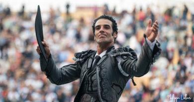 Bayonne, une goyesque grise