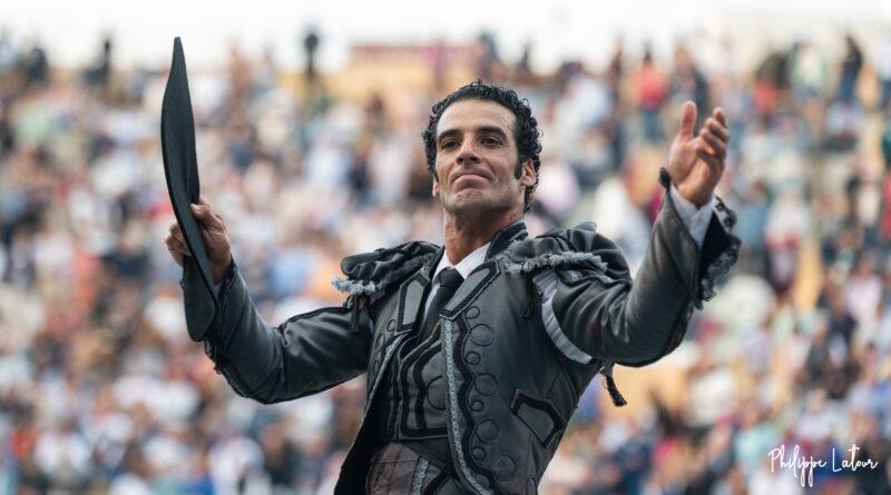 Bayonne, une goyesque grise