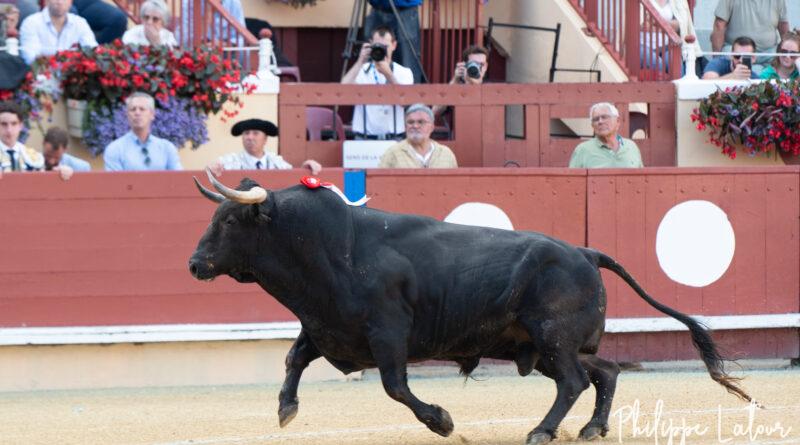 Bayonne, la corrida des promesses tenues