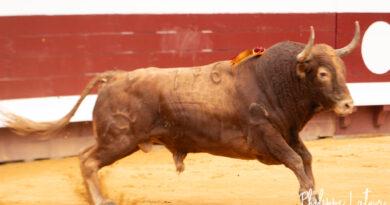 Dax , la corrida de Margé en photos
