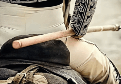 Le tercio de piques: évolution, transformation ou disparition