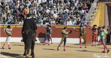 Feria del Aficionado 2026 : les cartels dévoilés