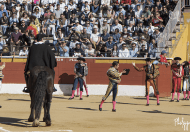 Feria del Aficionado 2026 : les cartels dévoilés