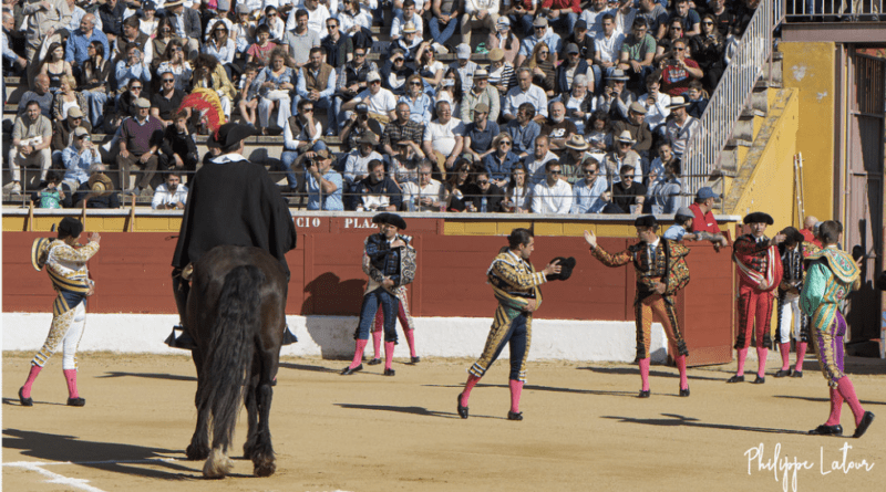 Feria del Aficionado 2026 : les cartels dévoilés