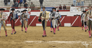 Aignan, les cartels de la journée taurine