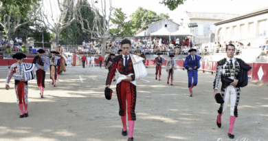 Tarascon, la Feria de la  Jouvenço