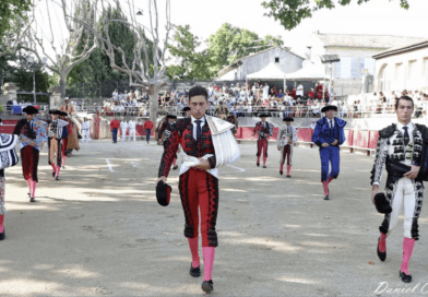 Tarascon, la Feria de la  Jouvenço