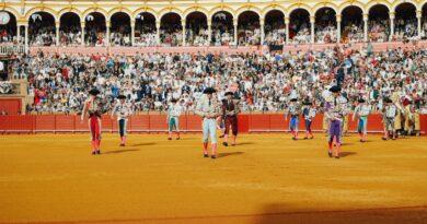 Séville, Nuñez del Cuvillo: les toreros voulaient……