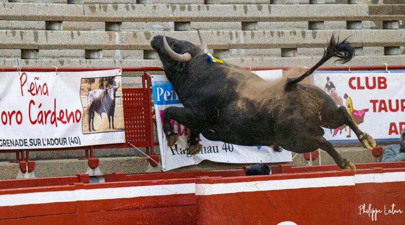 Saint-Perdon en photos