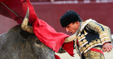 San Isidro, Damian Castaño et les mauvais garçons