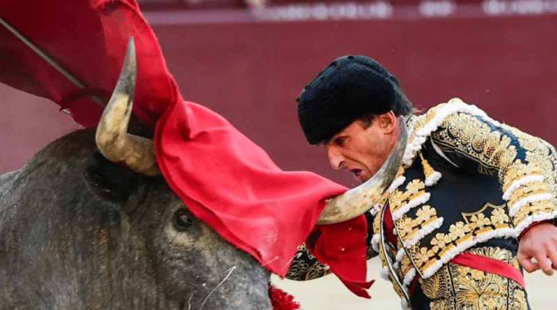 San Isidro, Damian Castaño et les mauvais garçons