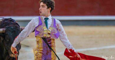 San Isidro, le courage en bandoulière