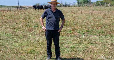 El Palmeral : une ganadería d&rsquo;auteur