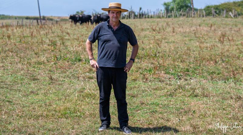 El Palmeral : une ganadería d&rsquo;auteur