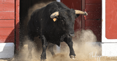 Orthez, un esprit, une philosophie…