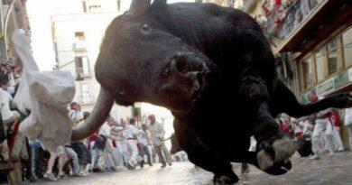 San Fermin, encierro accidenté des Alvaro Nuñez