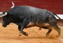 Dax , les Ana Romero confirment