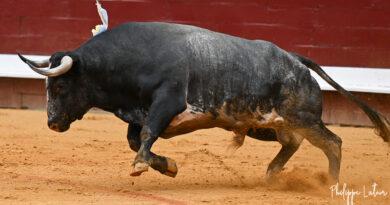 Dax , les Ana Romero confirment