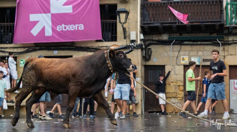La Sokamuturra de Pasai Donibane