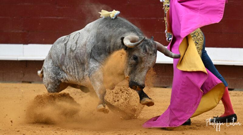 Dax, la corrida d&rsquo;Ana Romero en photos