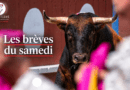 Les brèves du samedi 12 septembre
