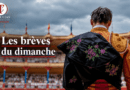 Les brèves du dimanche 13 septembre