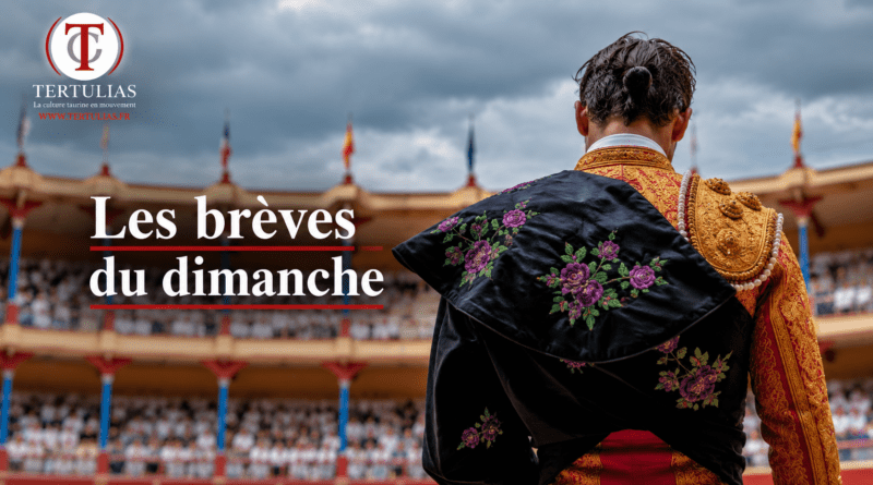 Les brèves du dimanche 13 septembre