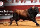 Les brèves du vendredi 23 octobre
