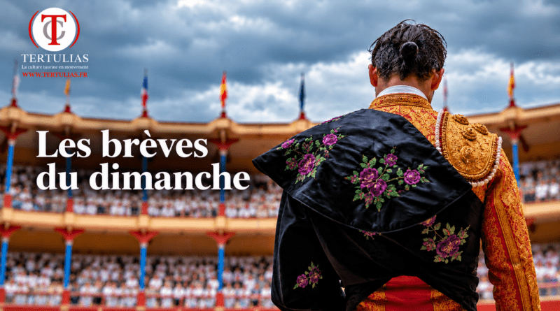 Les brèves du dimanche 13 septembre
