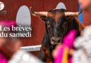 Les brèves du samedi 12 septembre