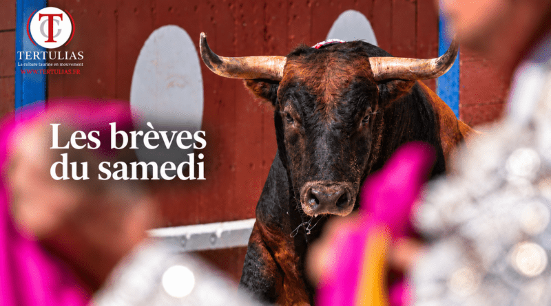 Les brèves du samedi 12 septembre