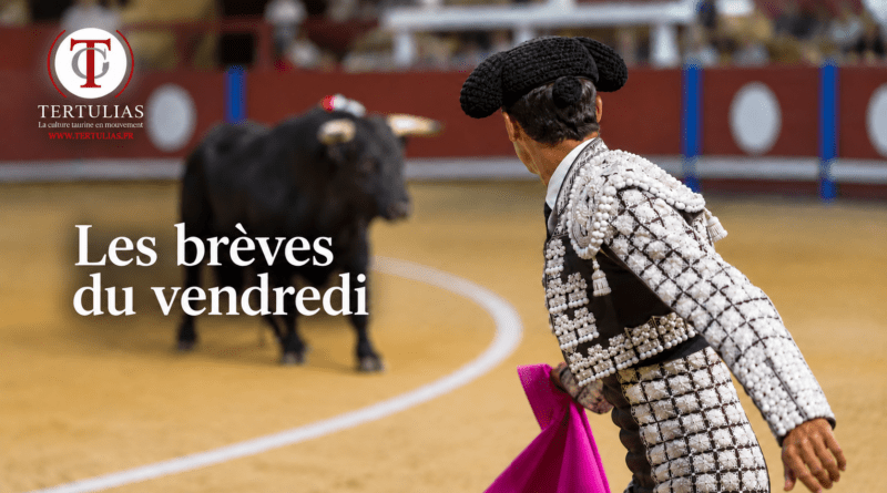 Les brèves du vendredi 11 septembre