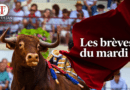 Les brèves du mardi 22 septembre