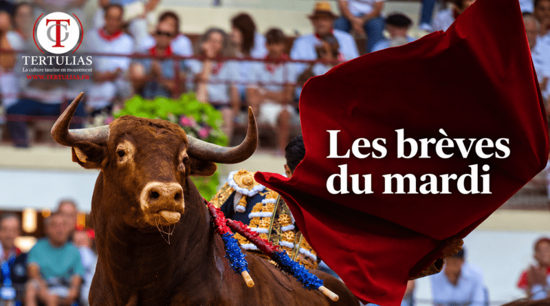 Les brèves du mardi 22 septembre